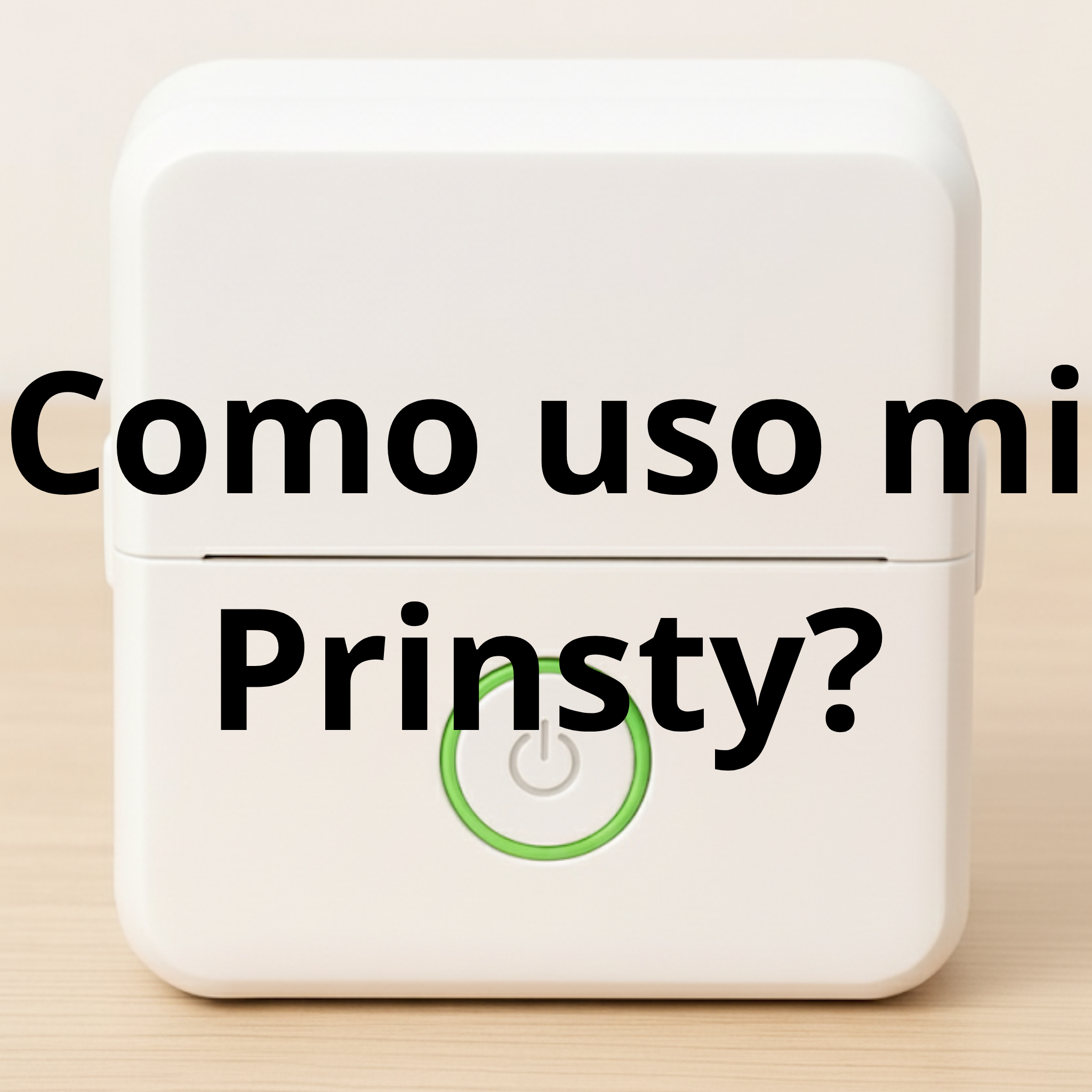 PRINSTY